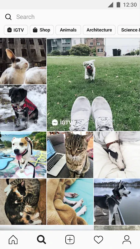 Instagram screenshot 3