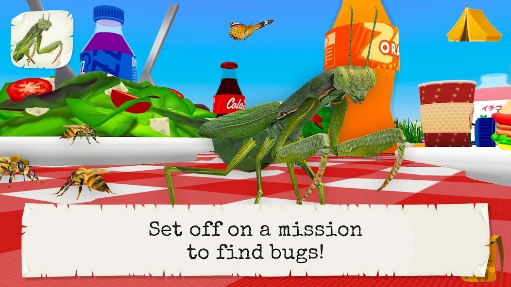 Bugs & Insects (Full version) APK screenshot 1