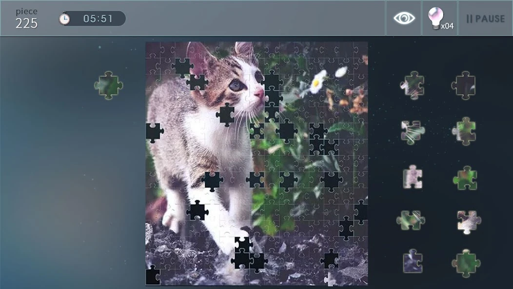 Jigsaw Puzzle World screenshot 1