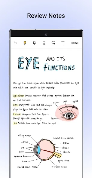 Noteshelf: Take Notes | Handwriting | Annotate PDF APK screenshot 1