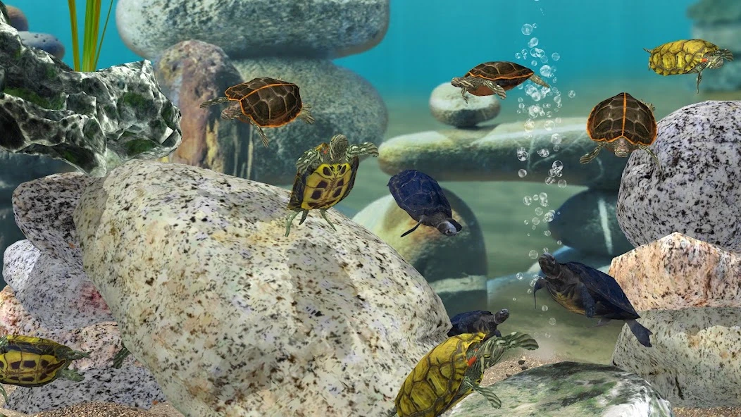 Fish Farm 3 - 3D Aquarium Simulator screenshot 2