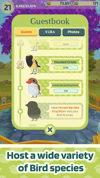 Bird BnB screenshot 2
