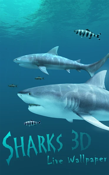 Sharks 3D - Live Wallpaper screenshot 5