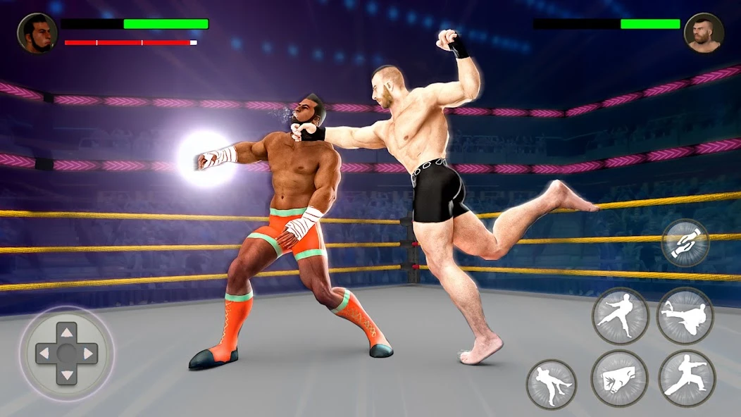 World Tag Team Wrestling Revolution Championship screenshot 2