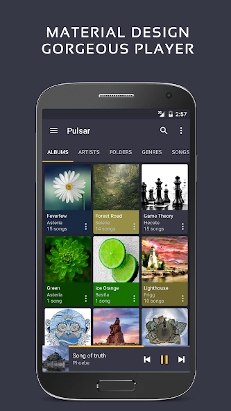 Pulsar Music Player Pro APK screenshot 1