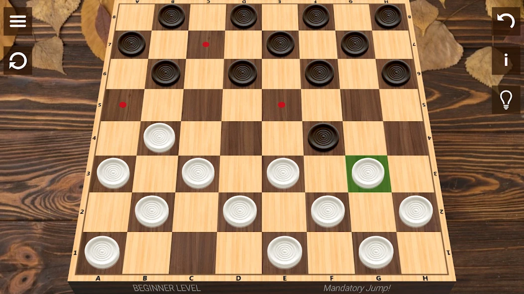 Checkers screenshot 5