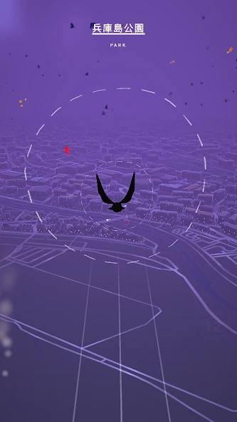 Pigeon: A Love Story APK screenshot 1