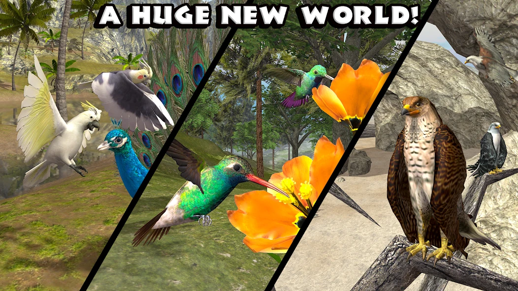 Ultimate Bird Simulator screenshot 5