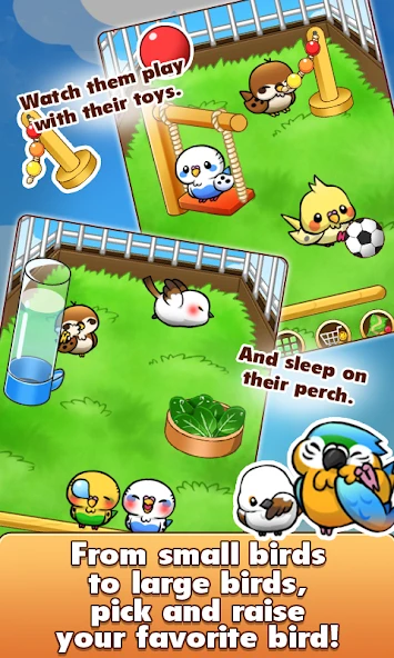 Bird Life screenshot 4