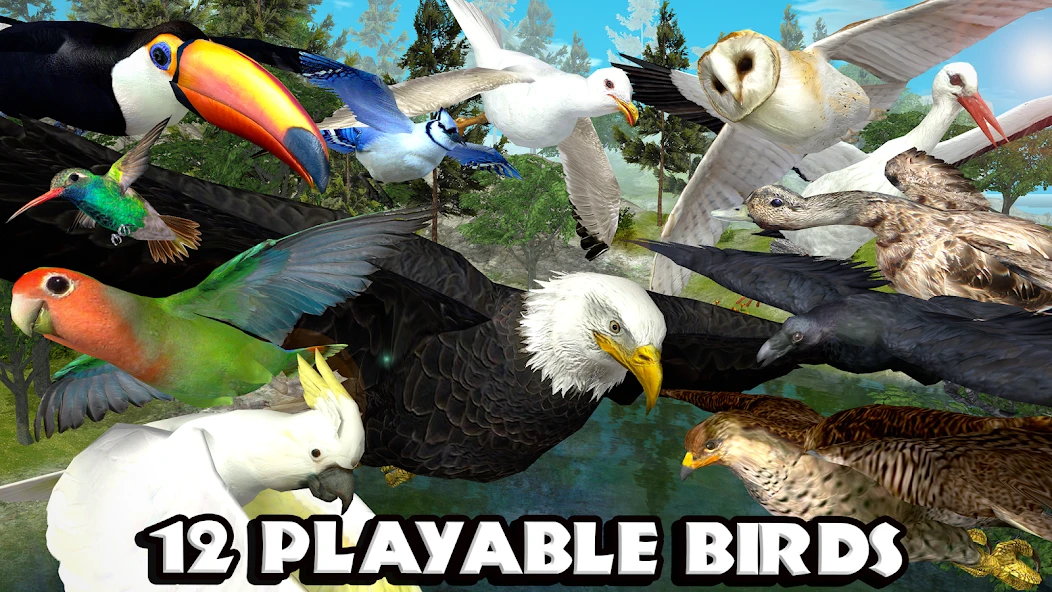 Ultimate Bird Simulator screenshot 2