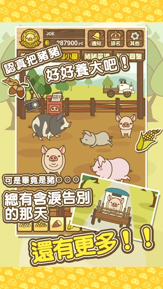 Pig Farm Mix APK screenshot 2