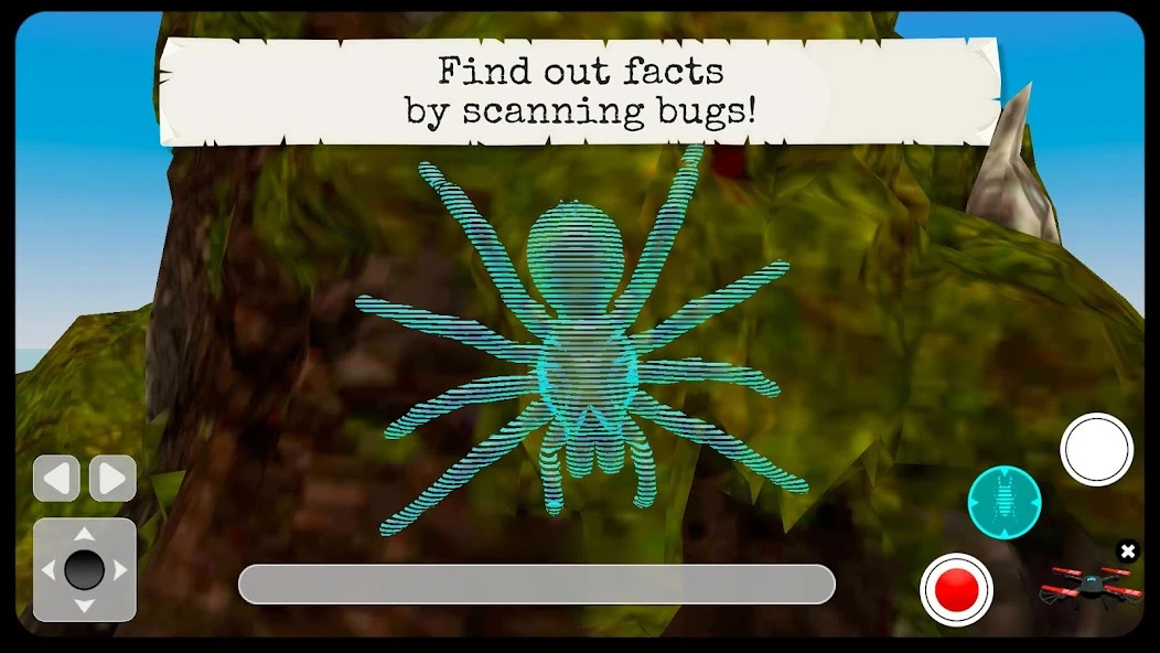 Bugs & Insects (Full version) APK screenshot 4