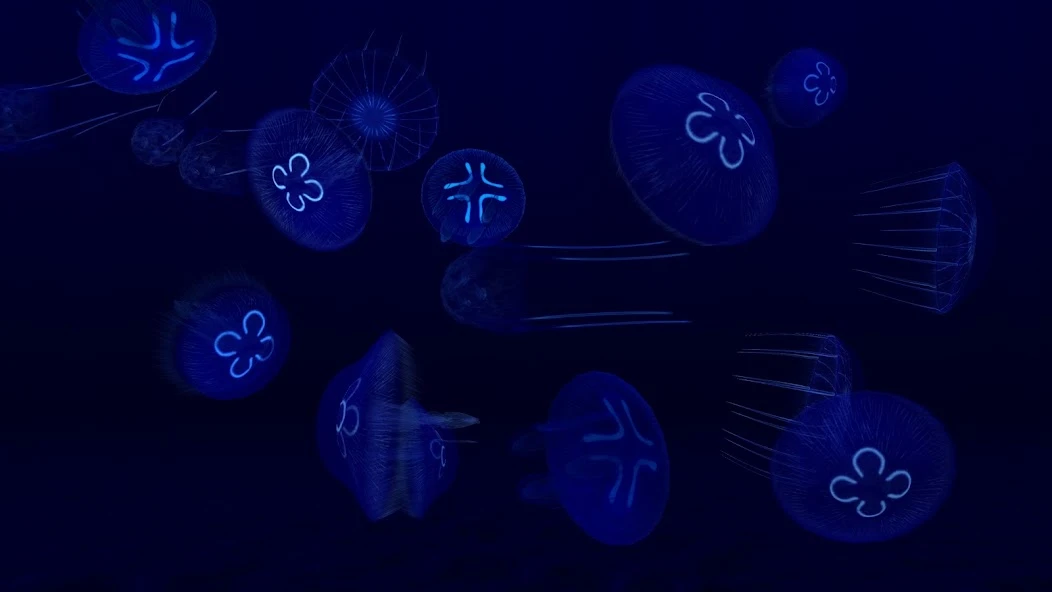 Fish Farm 3 - 3D Aquarium Simulator screenshot 4